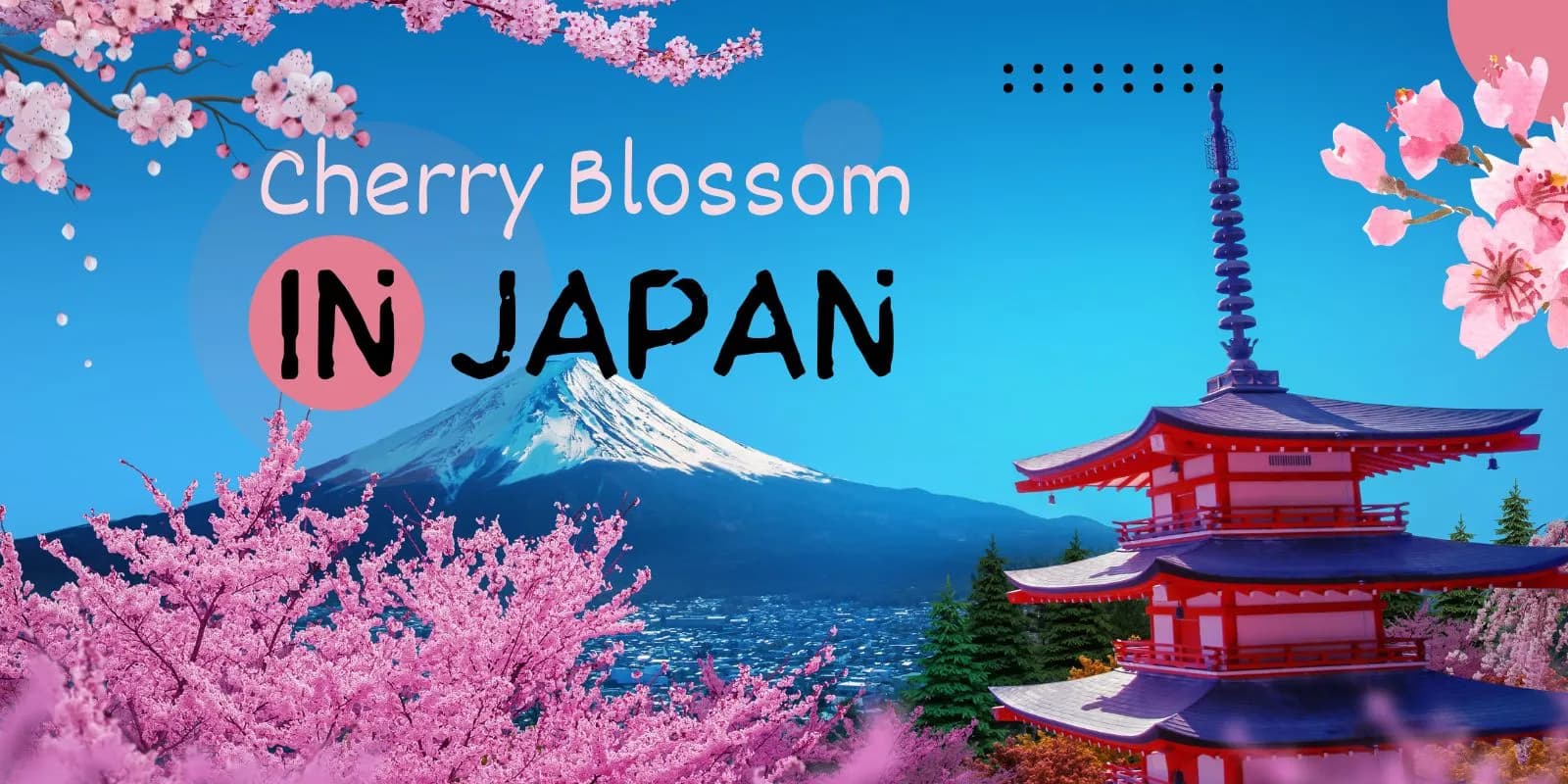 Blossoms & Beyond: Discover Japan’s 2025 Sakura Season 